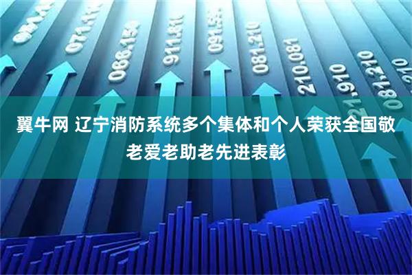 翼牛网 辽宁消防系统多个集体和个人荣获全国敬老爱老助老先进表彰