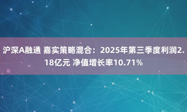 沪深A融通 嘉实策略混合：2025年第三季度利润2.18亿元 净值增长率10.71%
