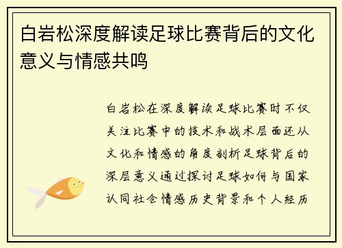 白岩松深度解读足球比赛背后的文化意义与情感共鸣