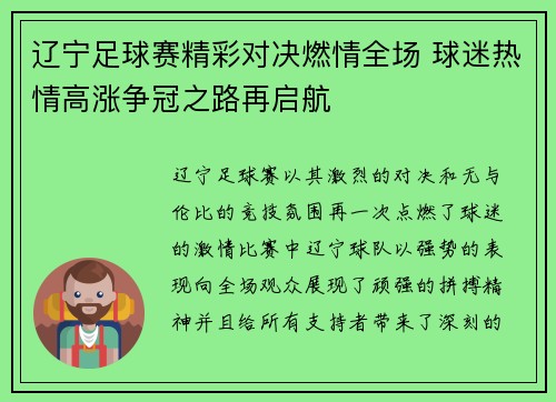 辽宁足球赛精彩对决燃情全场 球迷热情高涨争冠之路再启航