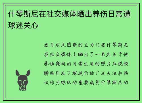 什琴斯尼在社交媒体晒出养伤日常遭球迷关心