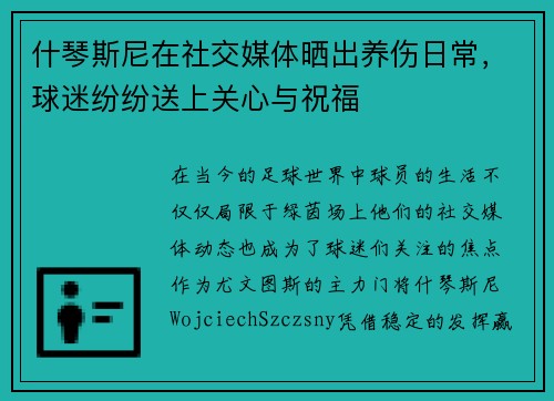 什琴斯尼在社交媒体晒出养伤日常，球迷纷纷送上关心与祝福