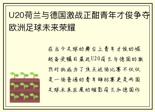 U20荷兰与德国激战正酣青年才俊争夺欧洲足球未来荣耀