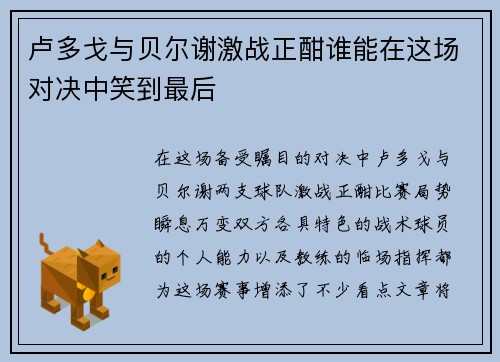 卢多戈与贝尔谢激战正酣谁能在这场对决中笑到最后