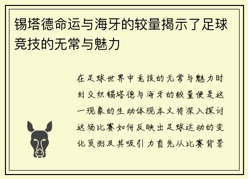 锡塔德命运与海牙的较量揭示了足球竞技的无常与魅力